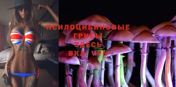 PSILOCYBIN Горняк
