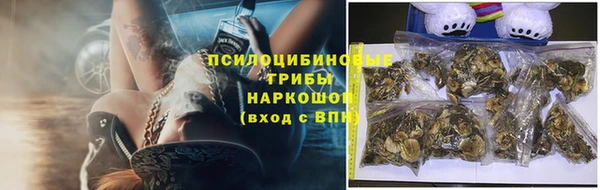 гашик Гусь-Хрустальный