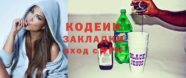 гашик Гусь-Хрустальный