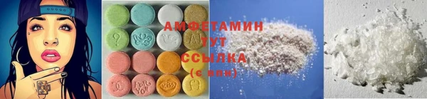 PSILOCYBIN Горняк