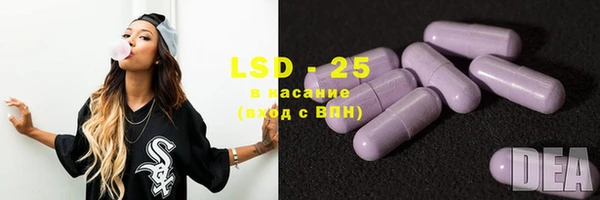PSILOCYBIN Горняк