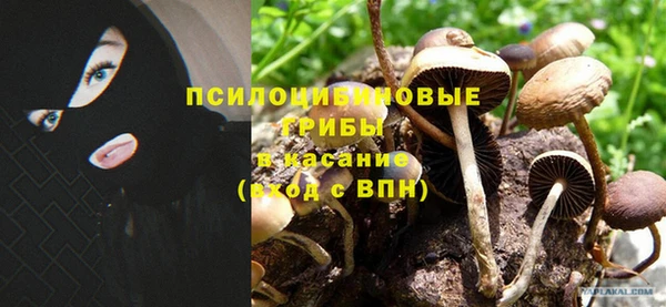 прущий лед Куйбышев