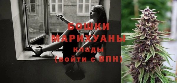 мдпв Кулебаки