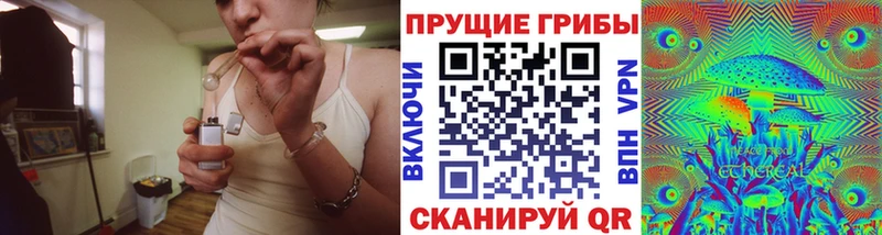 Галлюциногенные грибы Psilocybe купить Учалы